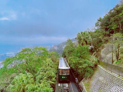 -太平山顶