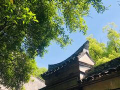 -天一阁博物院