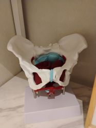 -菊子小颜·日式整骨·产后管理