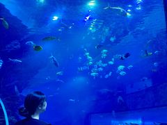 -威海华夏城景区