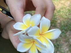 -三亚南山迎宾馆