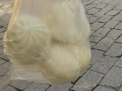 -西园寺素食(西园弄戒幢律寺店)