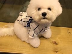 -PETKIT小佩宠物(古北店)