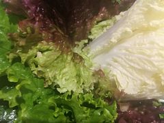 -青瓷火锅料理(西单大悦城店)