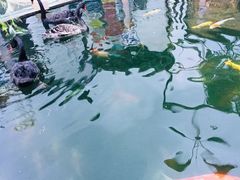 -湖鲜楼