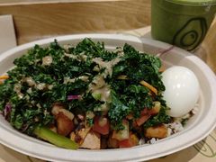 -油梨树 AVOCADO TREE(亮马桥店)