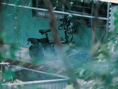 -燕晗山郊野公园