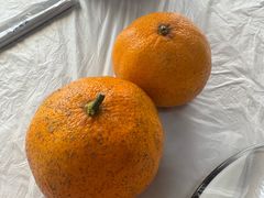 -小六农家乐(崇明西沙湿地店)