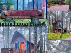 -洛阳白云山景区