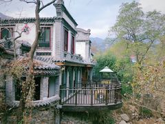 -老张烤羊(王哥庄店)