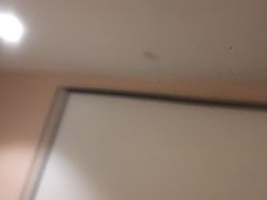 蟹肉煲-炊烟小炒黄牛肉(东庆街店)