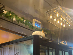-泽成·冰煮羊(乌兰察布红楼店)