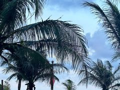 -三亚海棠湾喜来登度假酒店