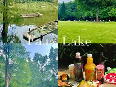 -深圳仙湖植物园