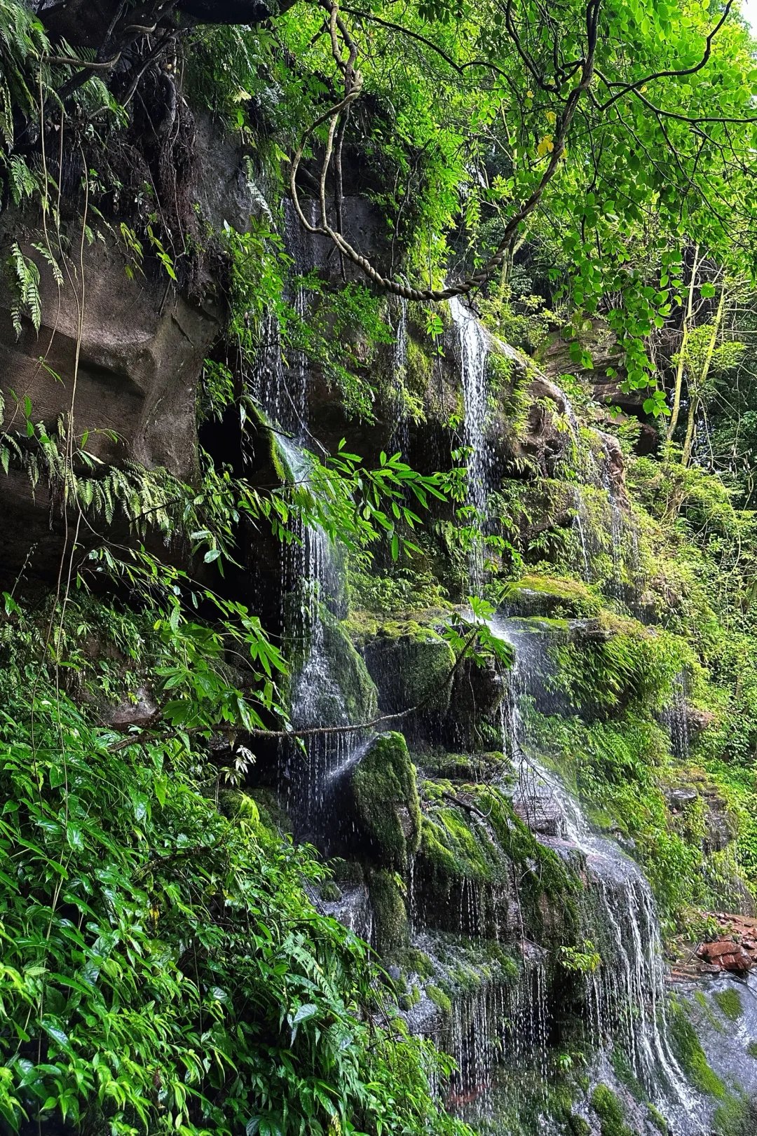 叙永天台山宝藏传说图片