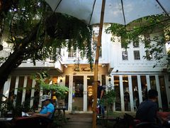 -Fern Forest Cafe