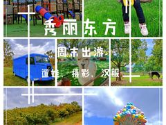 -秀丽东方