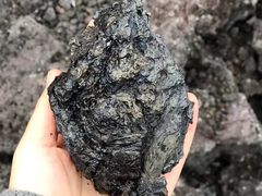 -夏威夷火山国家公园