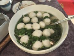 -丁老爷子苏香圆