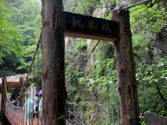 -牛背梁国家森林公园