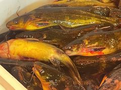 -江湖水乡铁锅炖魚(周庄嘉园店)