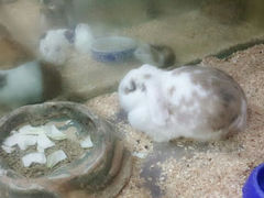 android_upload_pic-上海大自然野生昆虫馆