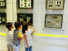 -上海昆虫博物馆