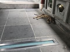 -檀园