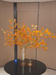 -常熟时代医疗美容