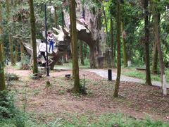 -象山森林公园