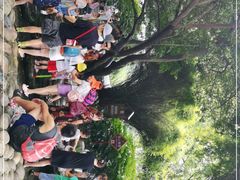 -成都市活水公园