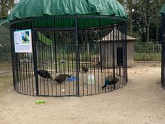 -前小桔亲子创意农场·草莓采摘·露营烧烤