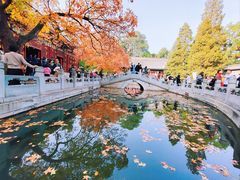 -香山公园