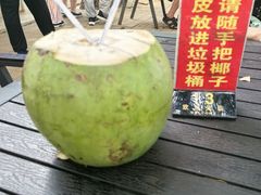 -万绿园