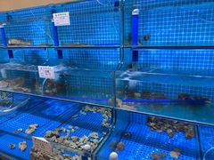 -前王院•巧克力海鲜市集餐厅(万平口店)