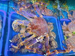 -震海贝烤贝·民俗特色店(延吉总店)