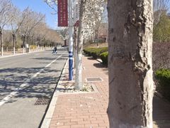 -山东大学(兴隆山校区)