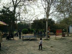 -咸阳湖景区-古渡公园