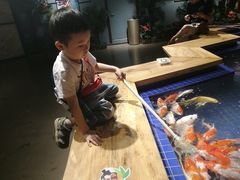 -昆明大悦城未来动物城(螺蛳湾中心店)