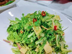 现做豆皮拌苦苣-蠔友汇(大东店)