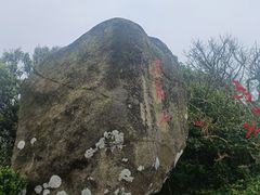-海南铜鼓岭景区
