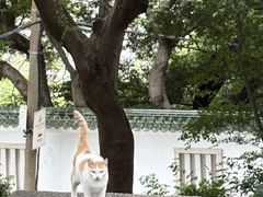 -鸿山公园