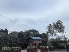 -少华山国家森林公园