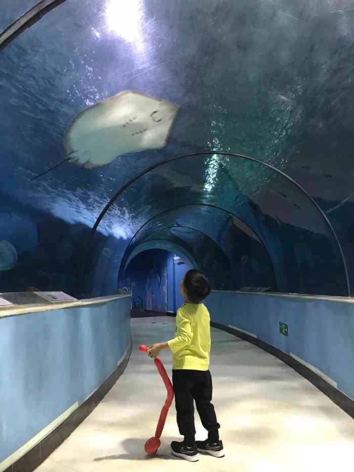 苏州海洋馆-"整体不大,逛起来不累,适合小年龄段小朋友.
