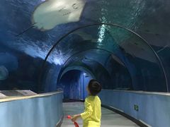 -苏州海洋馆