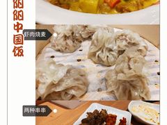 -阳阳中国饭(北京荟聚店)