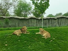 -北京野生动物园