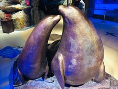 -萌宠奇缘