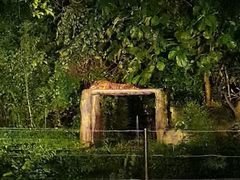 -清迈夜间动物园