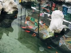 -利群海琴购物广场(商丘路店)